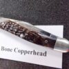 1979 Case 1 Dot USA Dark Bone 2 Blade Pen Knife 62109X Mini Copperhead - Image 13