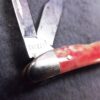 1980 Case 6220 SS Peanut Smooth Red Pink Handles Mini Jack Pocket Knife Mint - Image 5