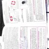 1986 Ruger Instruction Manual for Security Speed Service 6 Revolvers Exc 15 Page - Image 5