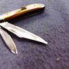 1991 Case 5220 SS Stainless Peanut Sambar Stag Handle Mini Jack Pocket Knife - Image 4