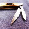 1991 Case 5220 SS Stainless Peanut Sambar Stag Handle Mini Jack Pocket Knife - Image 6
