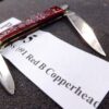 1991 Case Pink Red Bone 2 Blade Pen Knife 62109X SS Mini Copperhead - Image 5