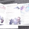 1996 Ruger Instruction Manual Package for Single Six, Bisley 5 Documents Unissue - Image 4