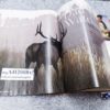 5 Issues 2008 American Hunter Magazine Elk, NRA, Elephant, Elk, Moose $3.20 ea - Image 8