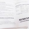 Beretta 81 Factory Manual for .32 ACP Trilingual English Italian French 1996 Exc - Image 8