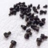 Grip Screw for Colt Junior or Astra Cub Pistols 1950s Age Blued Secure Fit - Image 6