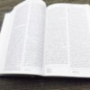 Philo Judaeus of Alexandria The Works of Philo Complete and Unabridged Hardcover - Image 6