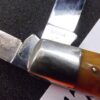 c. 1968 Case No Dot 5299 1/2 Sambar Stag Large Jack Knife Exc 5299.5 - Image 4