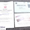 1996 Ruger Instruction Manual, Registration Card for 10/22 Carbine 1022 Auto Exc