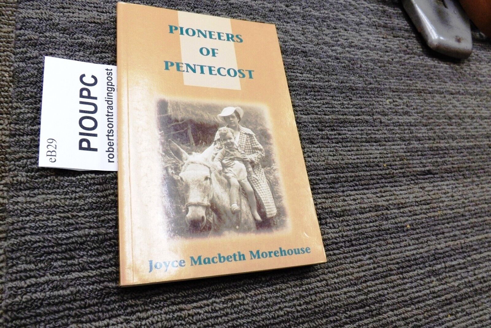 Pioneers of Pentecost by Joyce Morehouse Canadian Oneness Leaders early 20th C.