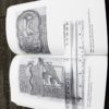 The Mark of the Beast Collection of Historical Essays, Edited by Debra Hassig PB - Image 8