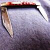 1950s Case XX No USA Brown Bone 2 Blade Pen Pocket Knife 6233 Excellent - Image 4