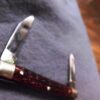 1950s Case XX No USA Brown Bone 2 Blade Pen Pocket Knife 6233 Excellent - Image 5