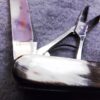 E. Bruckmann Mann Medium Scout Utility 1950s Pocket Knife Scissors Horn Handles - Image 4