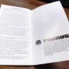 1990s Taurus Factory Owners Instruction Manual for Pre-Lock Revolvers - Image 10