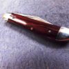 1993 Case 7220 SS Stainless Peanut Rosewood Handled Mini Jack Pocket Knife Mint - Image 10