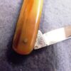 E. Bruckmann Mann Medium Senator 1950s Pen Pocket Knife Horn Handles - Image 3