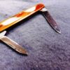 E. Bruckmann Mann Medium Senator 1950s Pen Pocket Knife Horn Handles - Image 6
