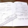 Historic Olympic Arms Owner’s Manual 2010 for Colt Type Black Rifle ca 2010 - Image 7