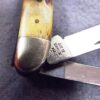 1978 Case 52087 SSP Mid Peanut 2 Blade Jack Knife Red Script Stag Mint Condition - Image 3