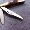 1978 Case 52087 SSP Mid Peanut 2 Blade Jack Knife Red Script Stag Mint Condition - Image 4