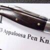 1981Case 2 Blade Appaloosa Pen Knife A62033 Bone Handled Pocket Knife Excellent - Image 11