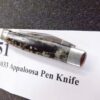 1981Case 2 Blade Appaloosa Pen Knife A62033 Bone Handled Pocket Knife Excellent - Image 12