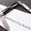 1981Case 2 Blade Appaloosa Pen Knife A62033 Bone Handled Pocket Knife Excellent - Image 5