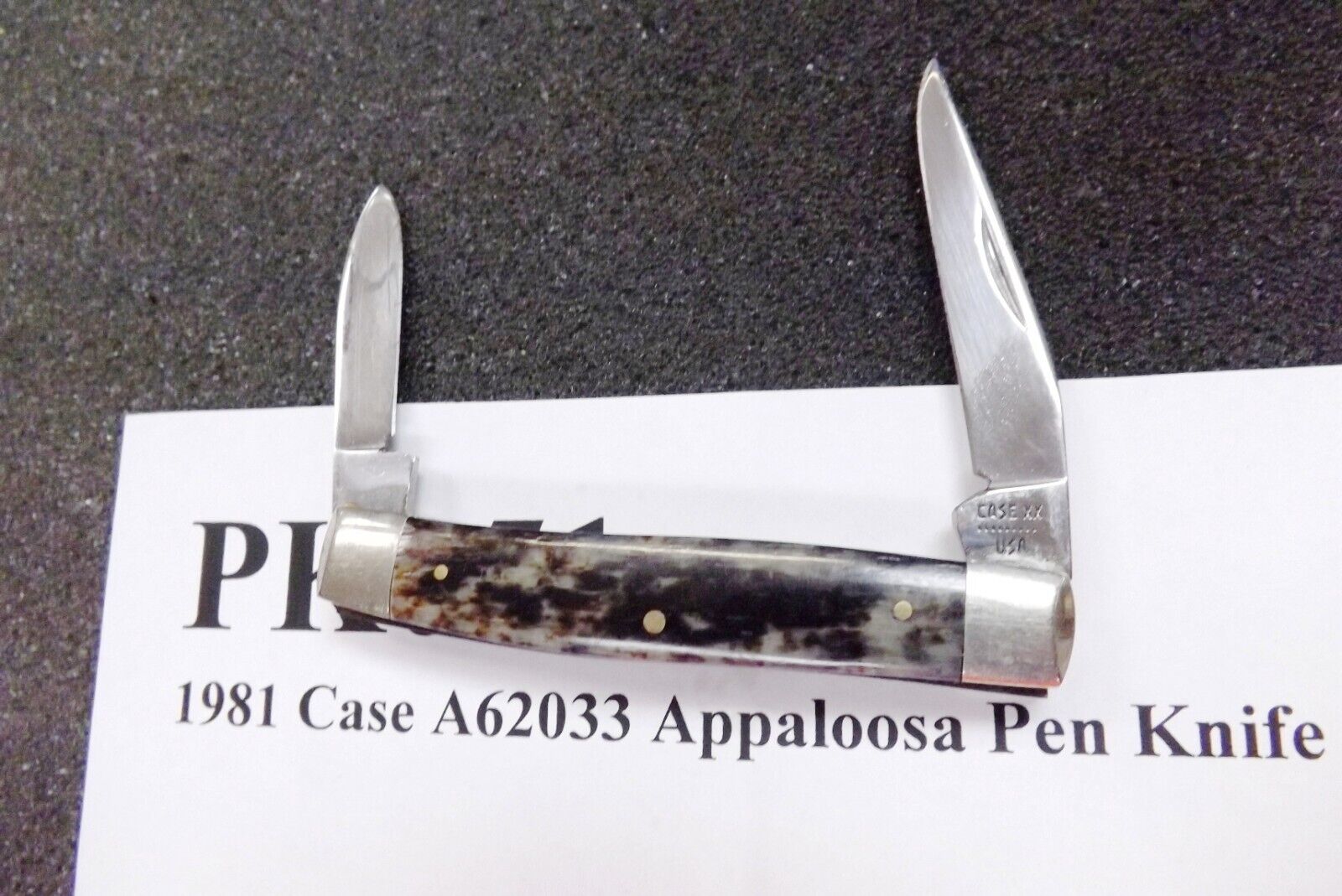 1981Case 2 Blade Appaloosa Pen Knife A62033 Bone Handled Pocket Knife Excellent