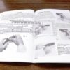 1994 Intratec Owners Instruction Manual for Cat-9 Pistols Very Good Condition - Image 5