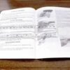 1994 Intratec Owners Instruction Manual for Cat-9 Pistols Very Good Condition - Image 6