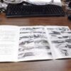 Beretta A303 Shotgun Owners Instruction Manual 1986 1st Year Gardone VG - Image 10