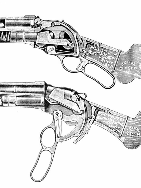 Century Right Side only Forend Panel 1887 Winchester Shotguns & Clones View #7 - Image 3