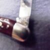 c 1960 Case XX No USA 2 Blade Pen Half Whittler 6208 Bone Handle Pocket Knife - Image 3