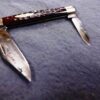 c 1960 Case XX No USA 2 Blade Pen Half Whittler 6208 Bone Handle Pocket Knife - Image 4