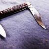 c 1960 Case XX No USA 2 Blade Pen Half Whittler 6208 Bone Handle Pocket Knife - Image 6