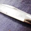 1974 Case 079 Sleeveboard Mother of Pearl 2 blade Pen Knife Mint 6 Dot - Image 11