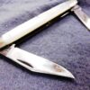 1974 Case 079 Sleeveboard Mother of Pearl 2 blade Pen Knife Mint 6 Dot - Image 4