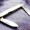 1974 Case 079 Sleeveboard Mother of Pearl 2 blade Pen Knife Mint 6 Dot - Image 5