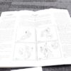 1980 Ruger Instruction Manual New Model Blackhawk, Super Blackhawk VG 20 pg - Image 6