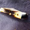 1989 Case 5220 SS Peanut Sambar Stag Handle Pocket Knife XX Tested Centennial - Image 12