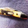 1989 Case 5220 SS Peanut Sambar Stag Handle Pocket Knife XX Tested Centennial - Image 13