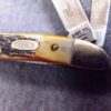 1989 Case 5220 SS Peanut Sambar Stag Handle Pocket Knife XX Tested Centennial - Image 3