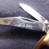 1989 Case 5220 SS Peanut Sambar Stag Handle Pocket Knife XX Tested Centennial - Image 4