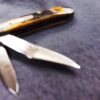 1989 Case 5220 SS Peanut Sambar Stag Handle Pocket Knife XX Tested Centennial - Image 5