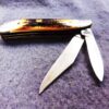 1989 Case 5220 SS Peanut Sambar Stag Handle Pocket Knife XX Tested Centennial - Image 7