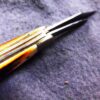 1989 Case 5220 SS Peanut Sambar Stag Handle Pocket Knife XX Tested Centennial - Image 10