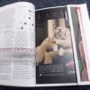 Black’s 1999 Wing and Clay Shotgun Competition Directory Catalog 544 Pages Color - Image 4