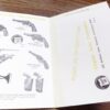 Charter Arms Bulldog .357 or .44 Parts Instruction Warranty Manual Exc Stratford - Image 5