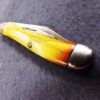 1968 Case 5220 Peanut Stag Handled Mini Jack Pocket Knife Mint USA No Dot Chrome - Image 11